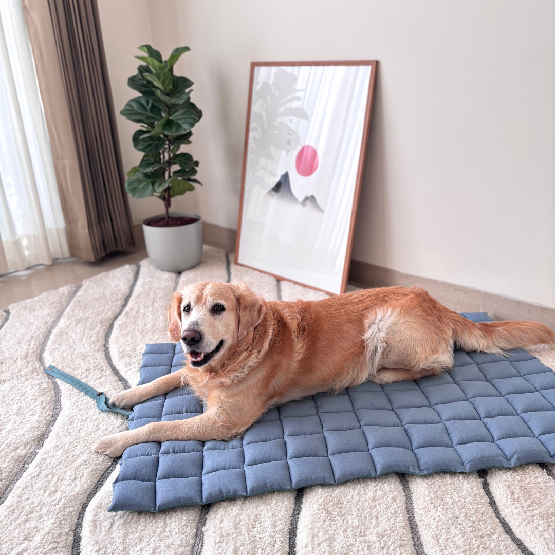 Pet Mats