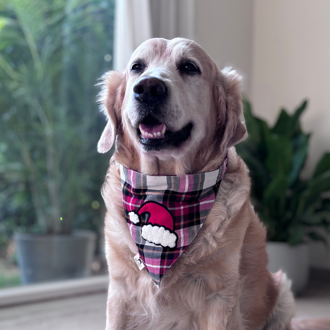 Christmas dog bana | Xmas dog bandana | Dog bandana for Christmas for dogs| PoochMate dog bandana