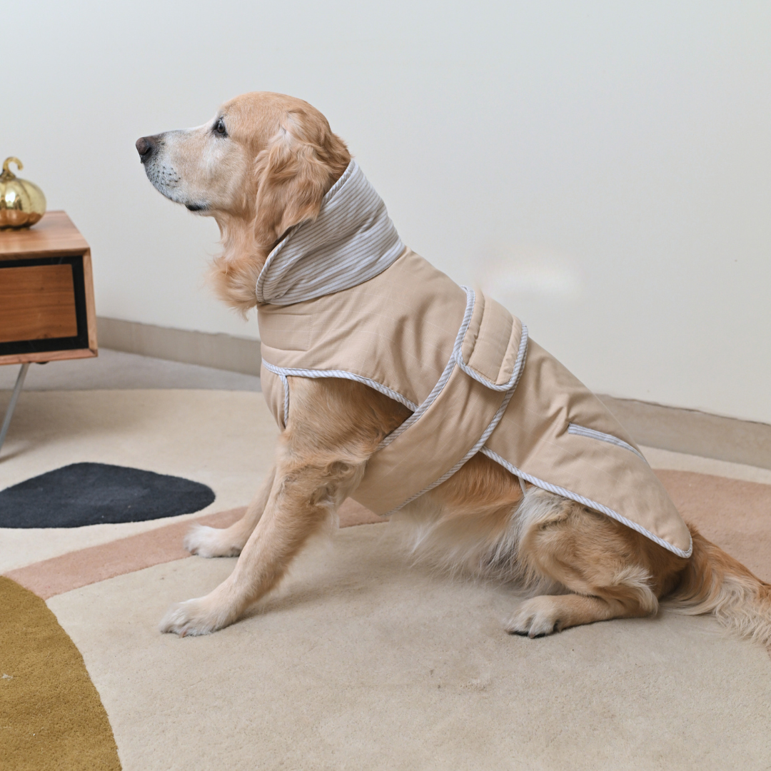 Adjustable Dog Jackets | Warm Dog Coats online India