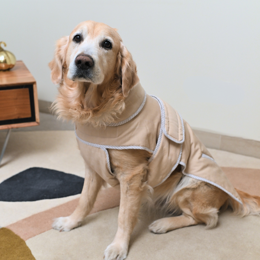 Quilted Dog Winter Jackets | Winter Coats for Dogs Online India