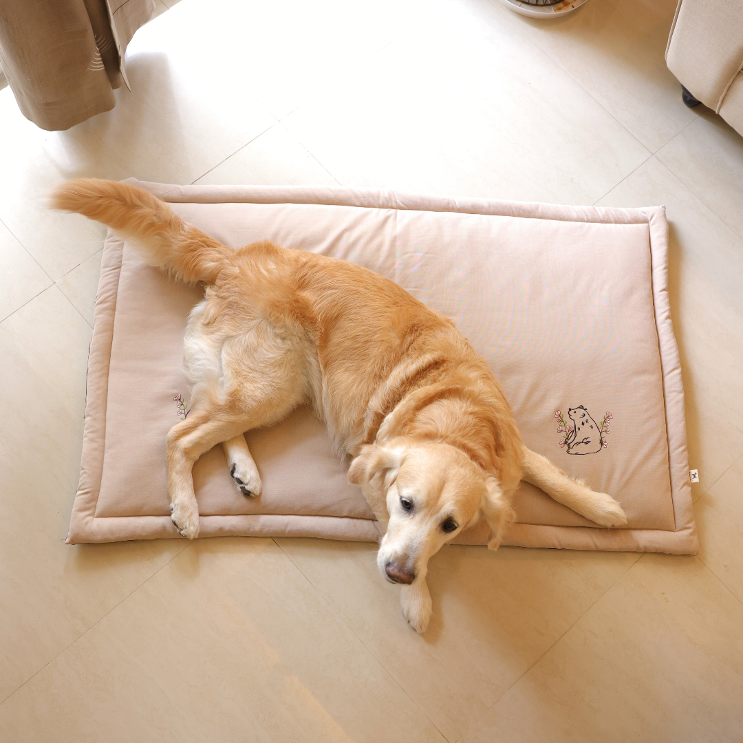 Washable Dog Mats | Pet Mats fort sleeping | PoochMate Bed