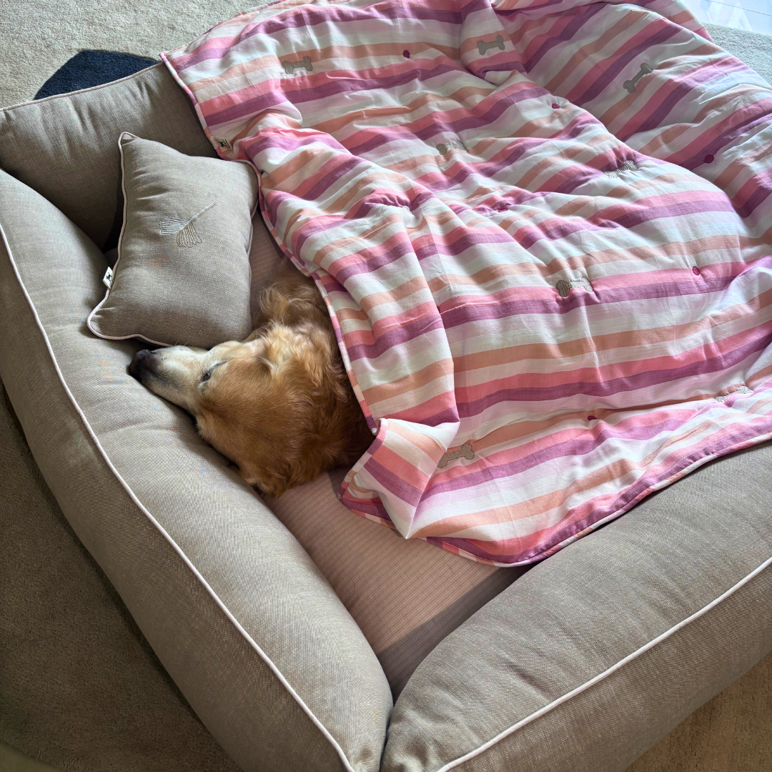 PoochMate Beds | Dog bed and blanket set | Washable cotton dog beds online India | Large dog bed and blanket sets