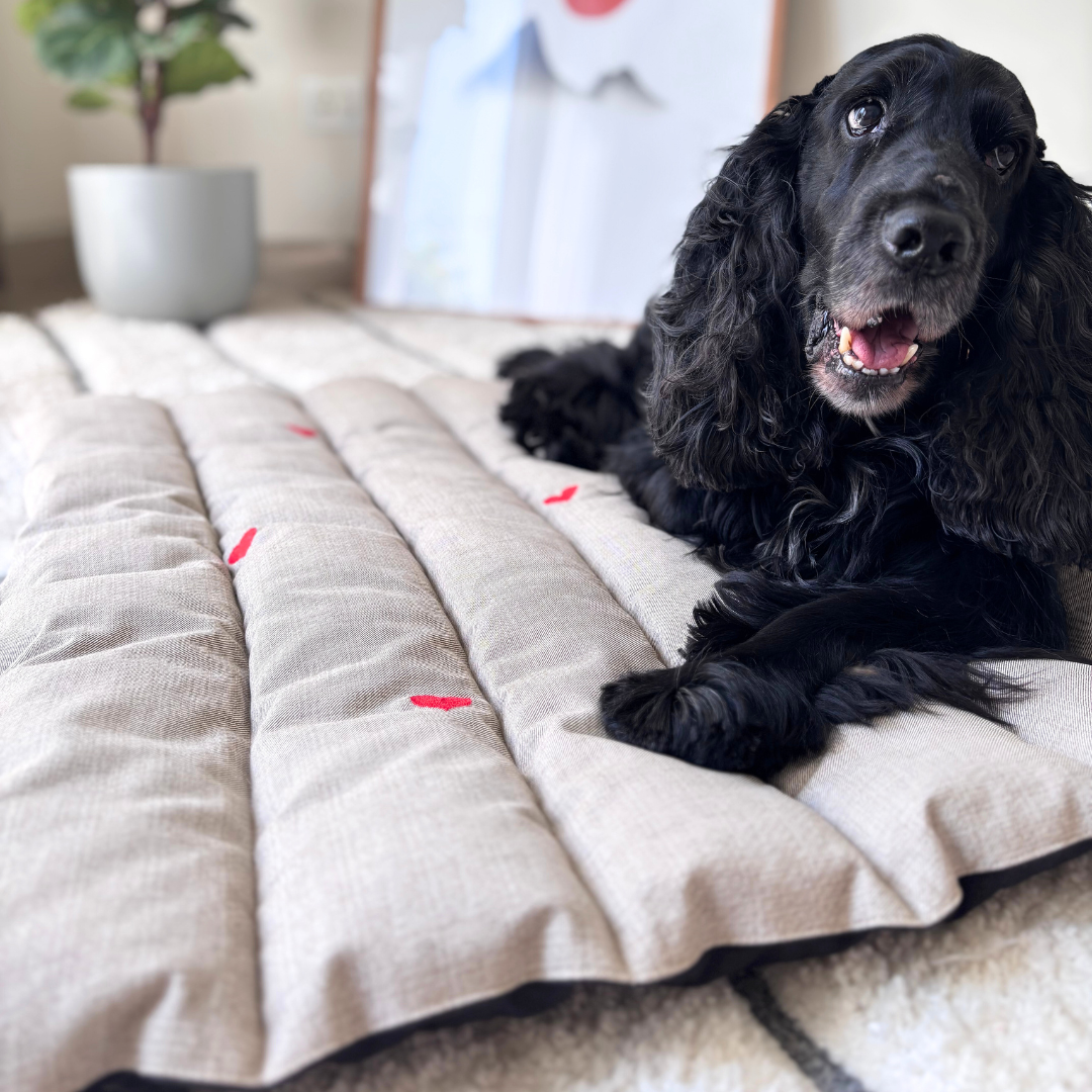 PoochMate Dog Mats | PoochMate Beds