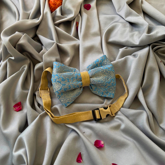 Indian wedding dog clothes | Ethnic dog clothes