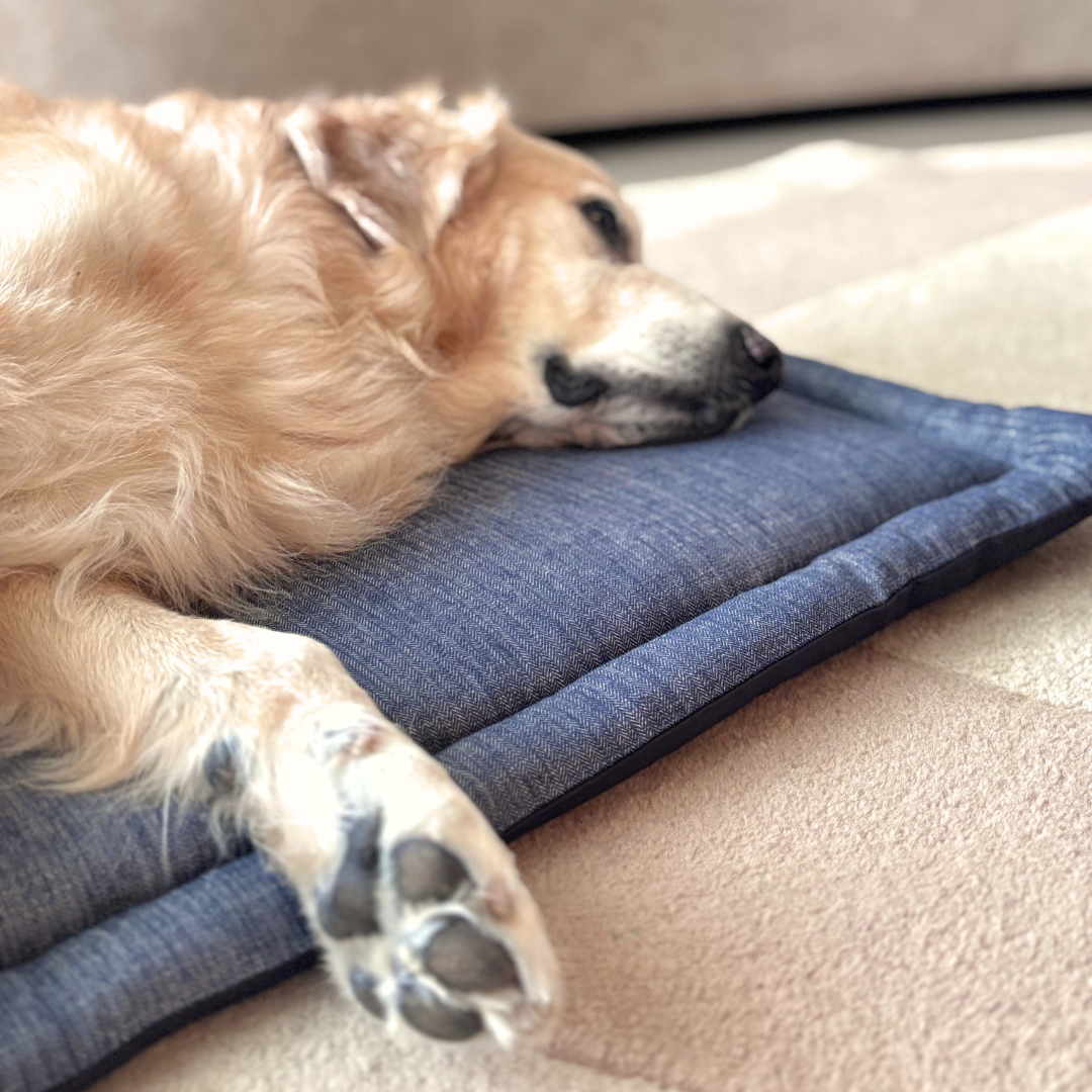 Washable Dog Mats | Pet Mats fort sleeping | PoochMate Bed