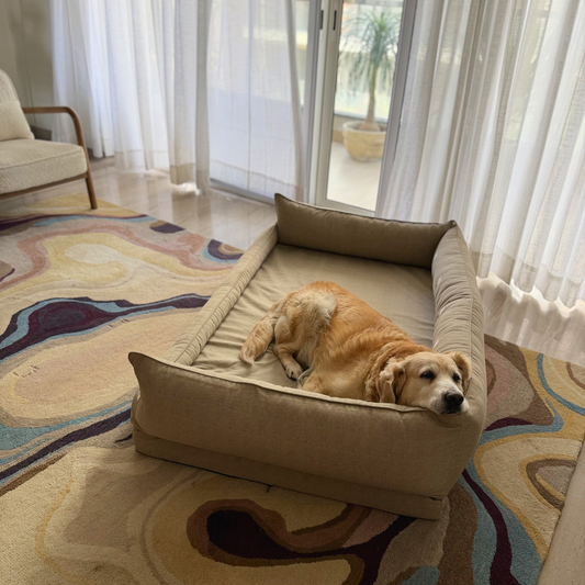 XL Orthopaedic dog beds| Memory foam dog beds| Memory foam dog sofa bed | Memory foam dog bed with raised sides | PoochMate memory Foam Dog bed| best memory foam dog beds India