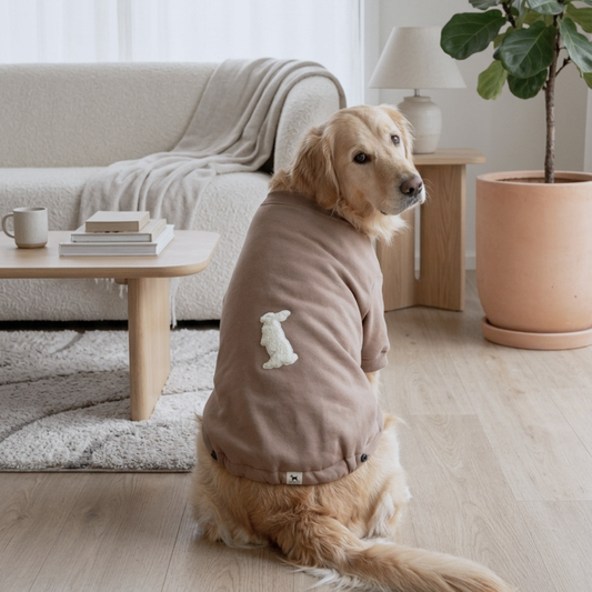 Winter dog clothes | Sweatshirts for dogs | Dog Hoodies online India