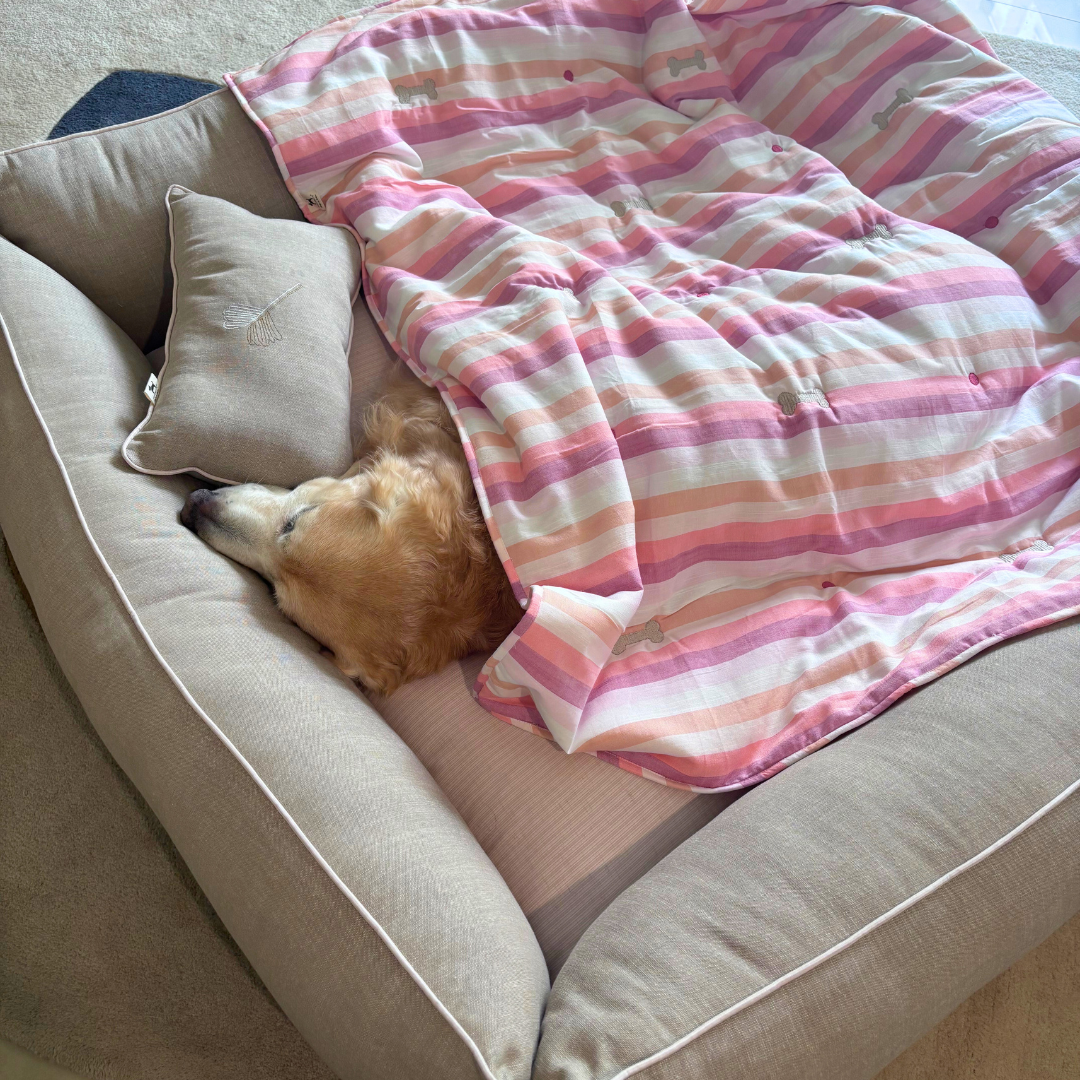 PoochMate Beds | Dog bed and blanket set | Washable cotton dog beds online India | Large dog bed and blanket sets