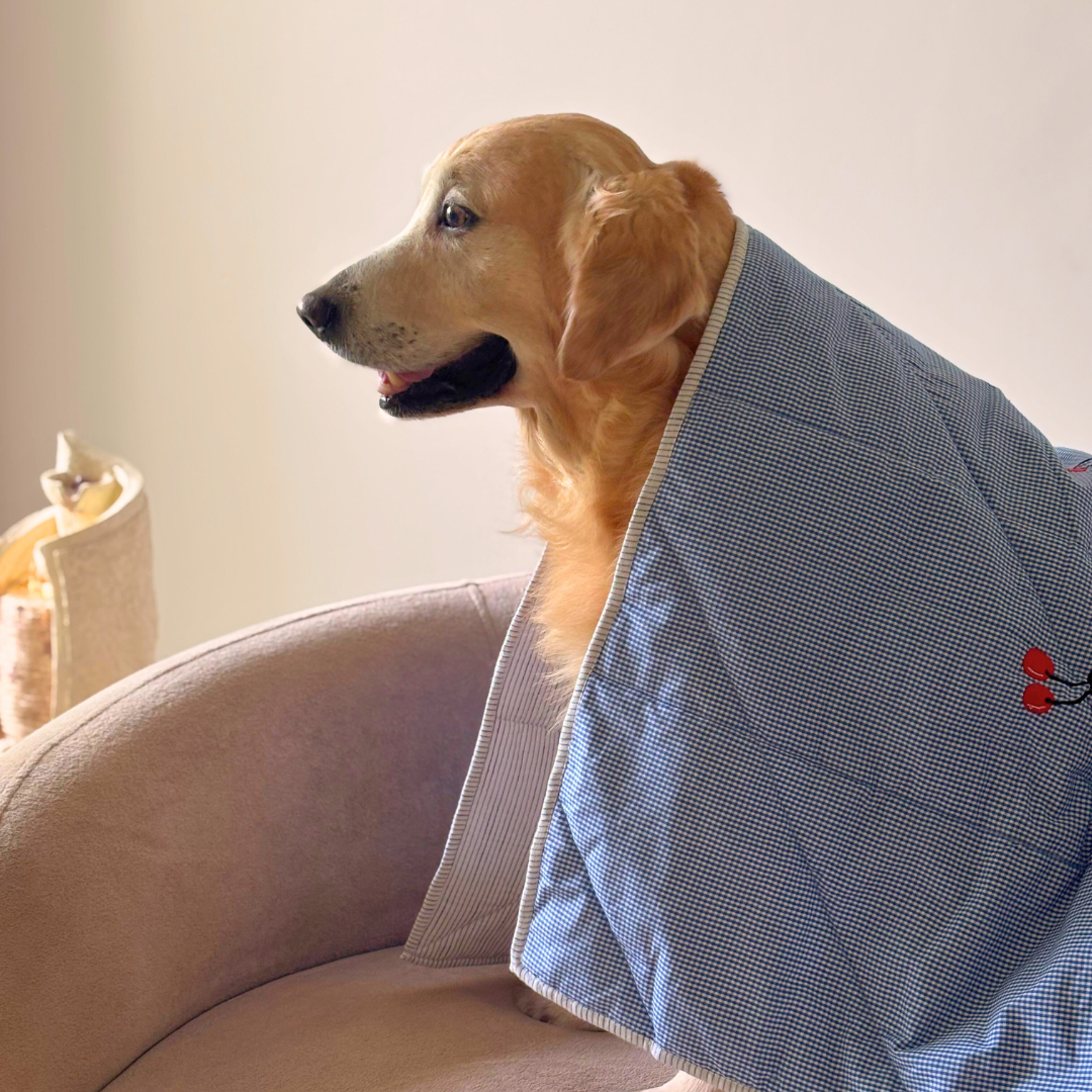PoochMate Dog Blankets | Dog Blankets online India | Cotton dog Blankets India