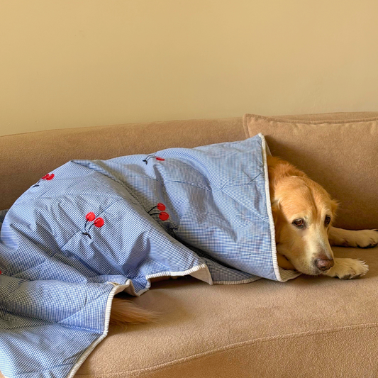 PoochMate Dog Blankets | Dog Blankets online India | Soft cotton dog blankets