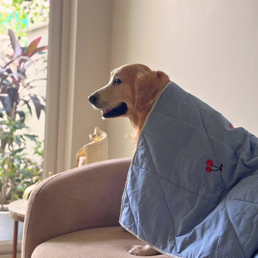 PoochMate Dog Blankets | Dog Blankets online India | Winter Dog Blankets