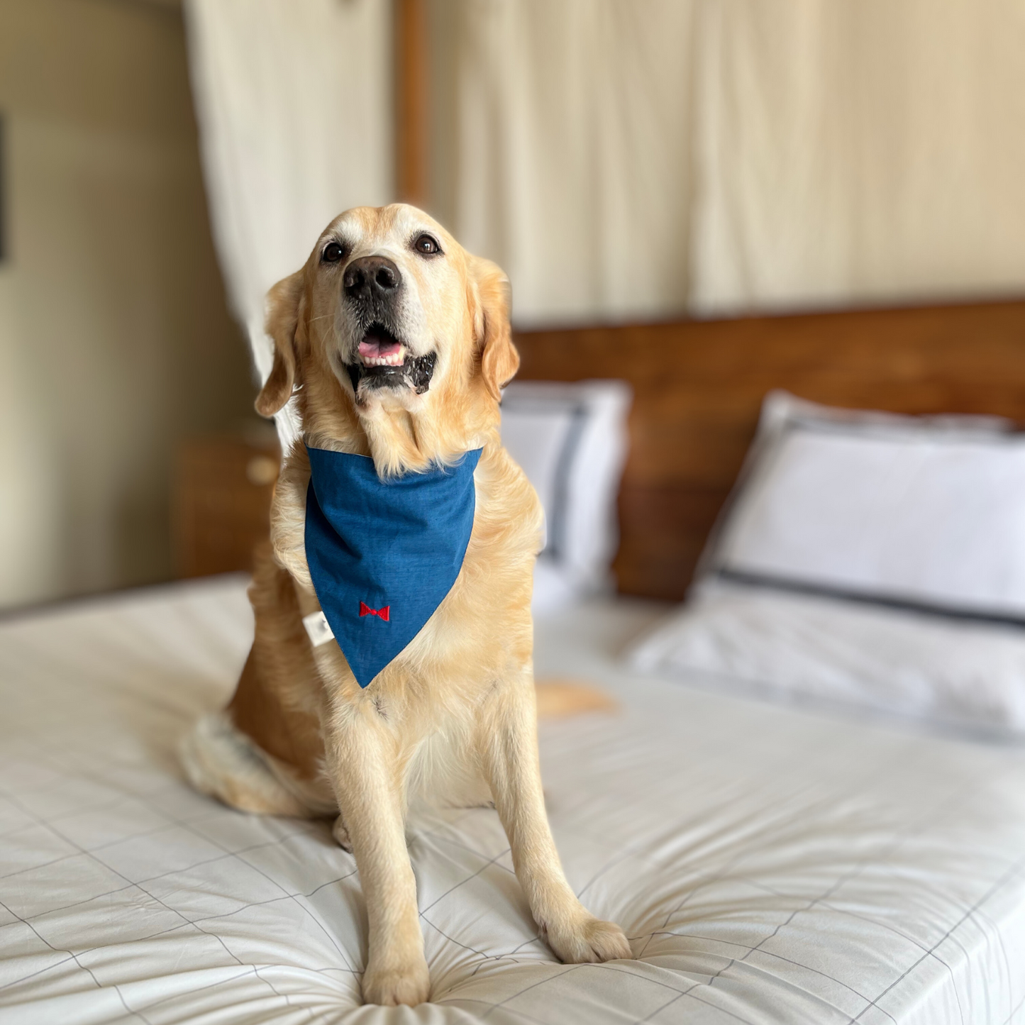 Blue Dog Bandana | Linen Dog Bandana