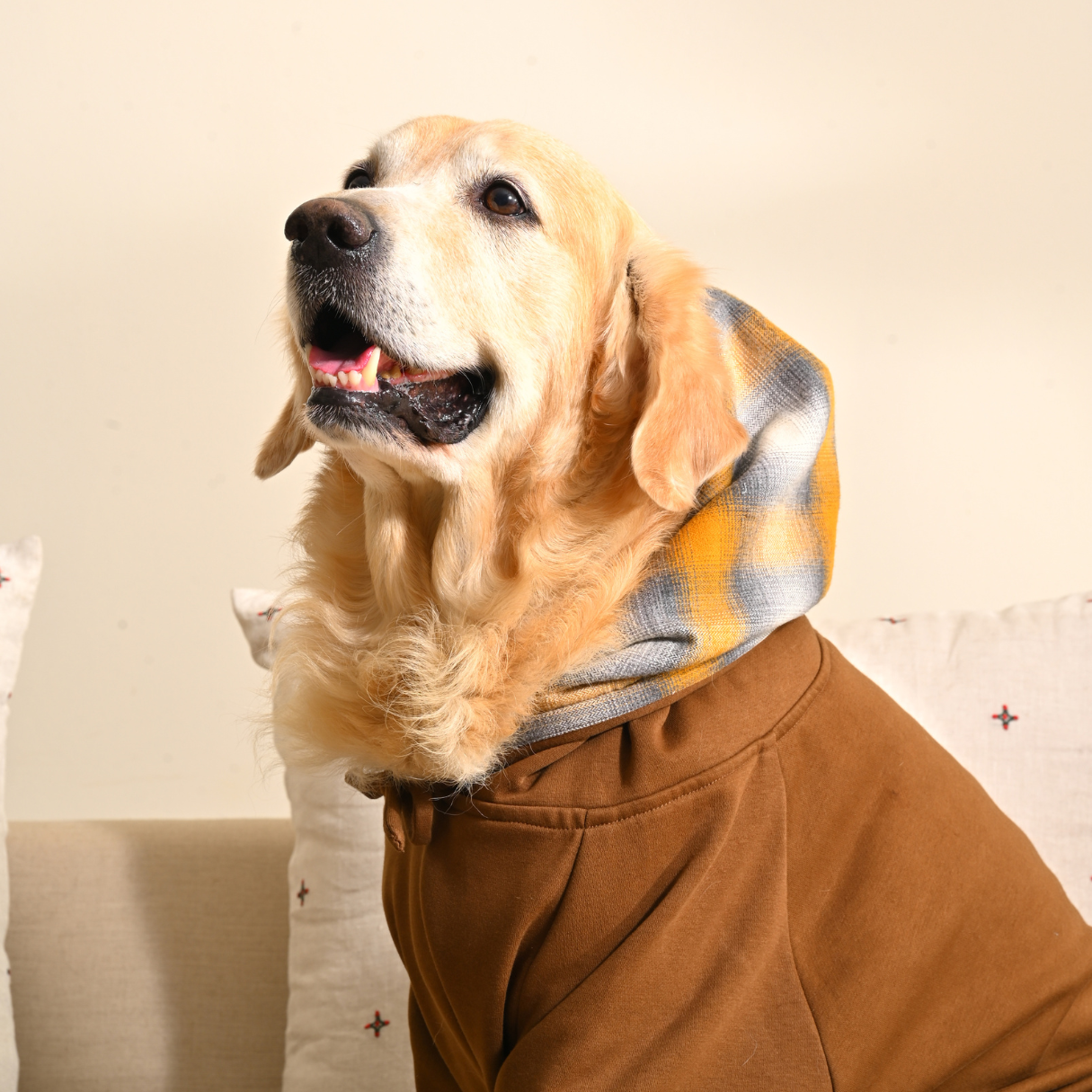 Dog Hoodies | Large dog winter clothes
