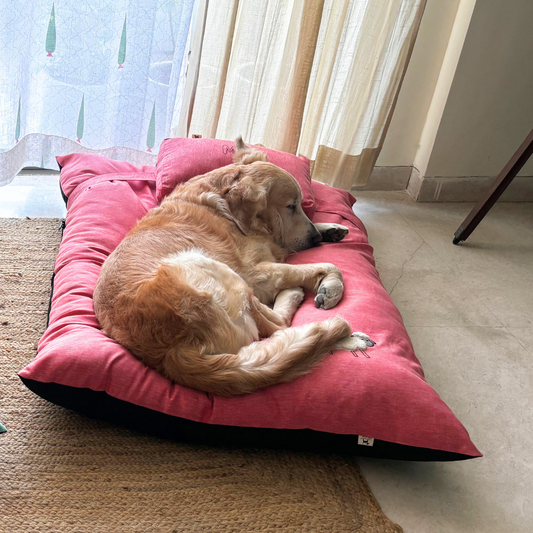 Flat dog beds | Extra Large dog beds India