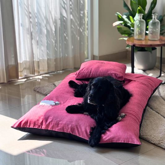 Flat Dog beds | Dog beds with washable covers | Cotton Dog Beds Online India