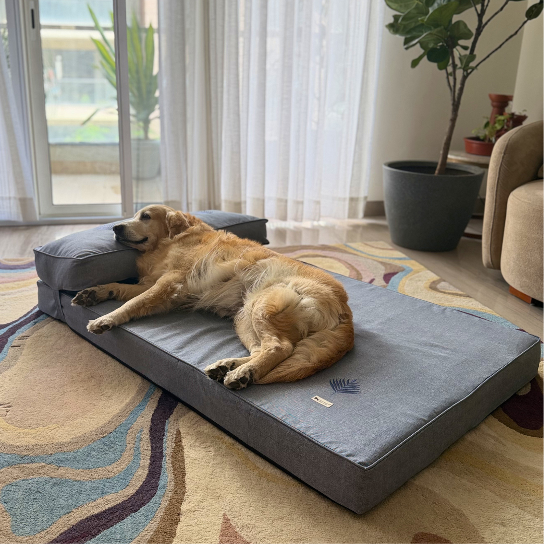 Orthopedic dog beds| Memory foam dog beds| Memory foam dog sofa bed | Memory foam dog bed with raised sides | PoochMate memory Foam Dog bed