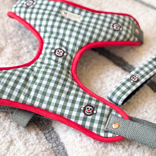 Adjustable dog harness | Cute harness for dogs online India