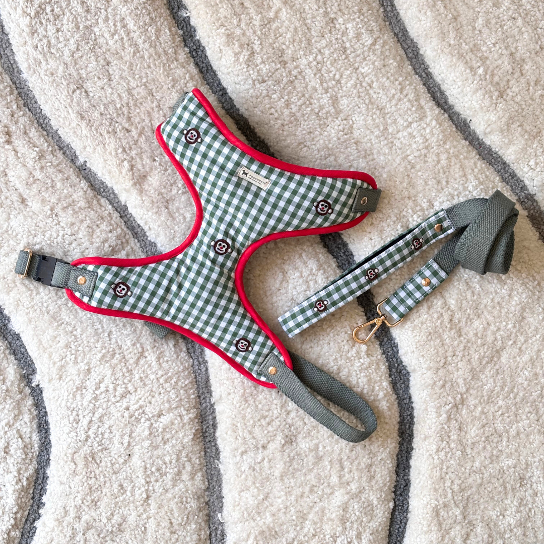 Cotton Dog Harness Leash Set PoochMate Sage Hearts Dog Harness