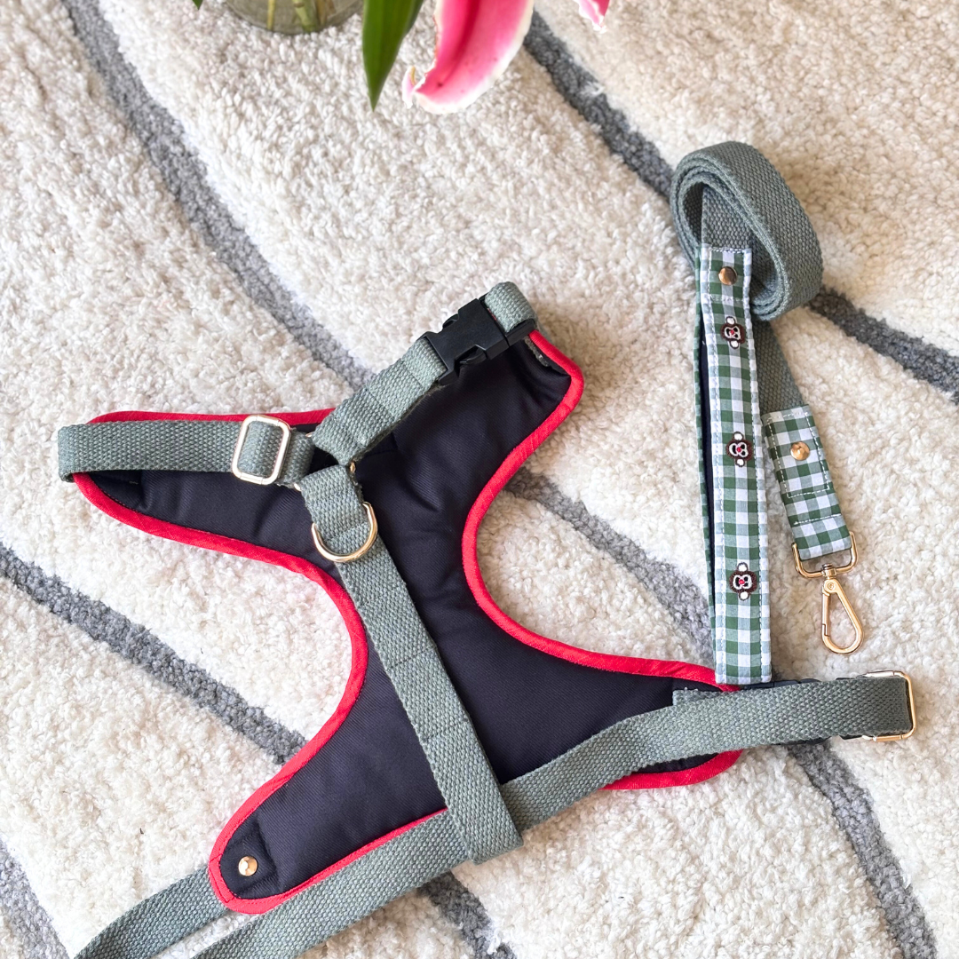 Dog Body Harness | Adjustable harness for dogs online India