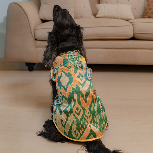 Dog Sherwani | Diwali clothes for Pets