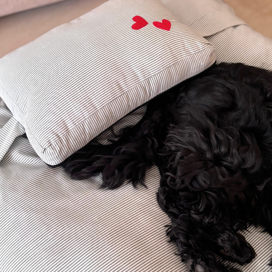 PoochMate Beds | Dog beds with removable covers