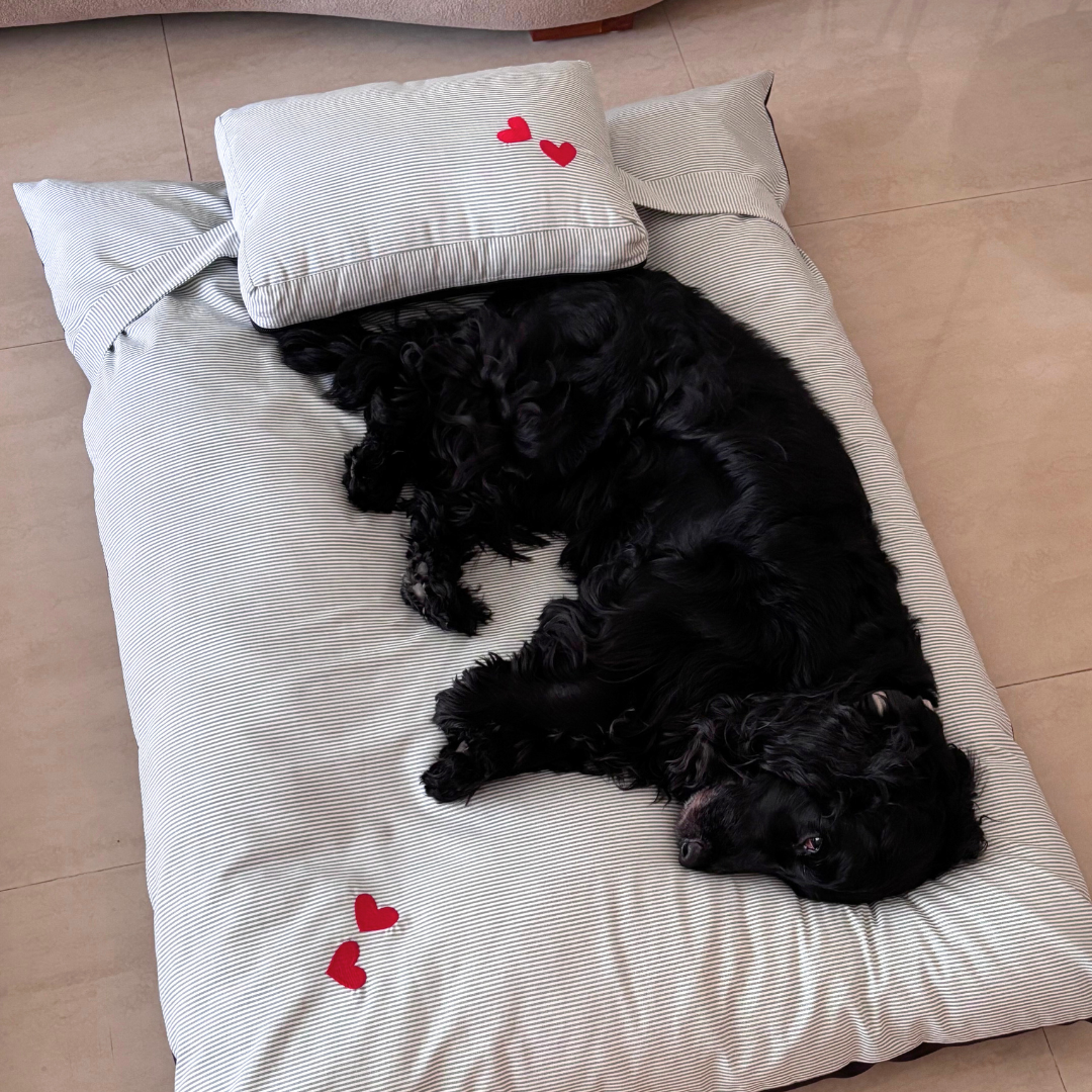 Flat dog beds | Washable cotton dog beds online India