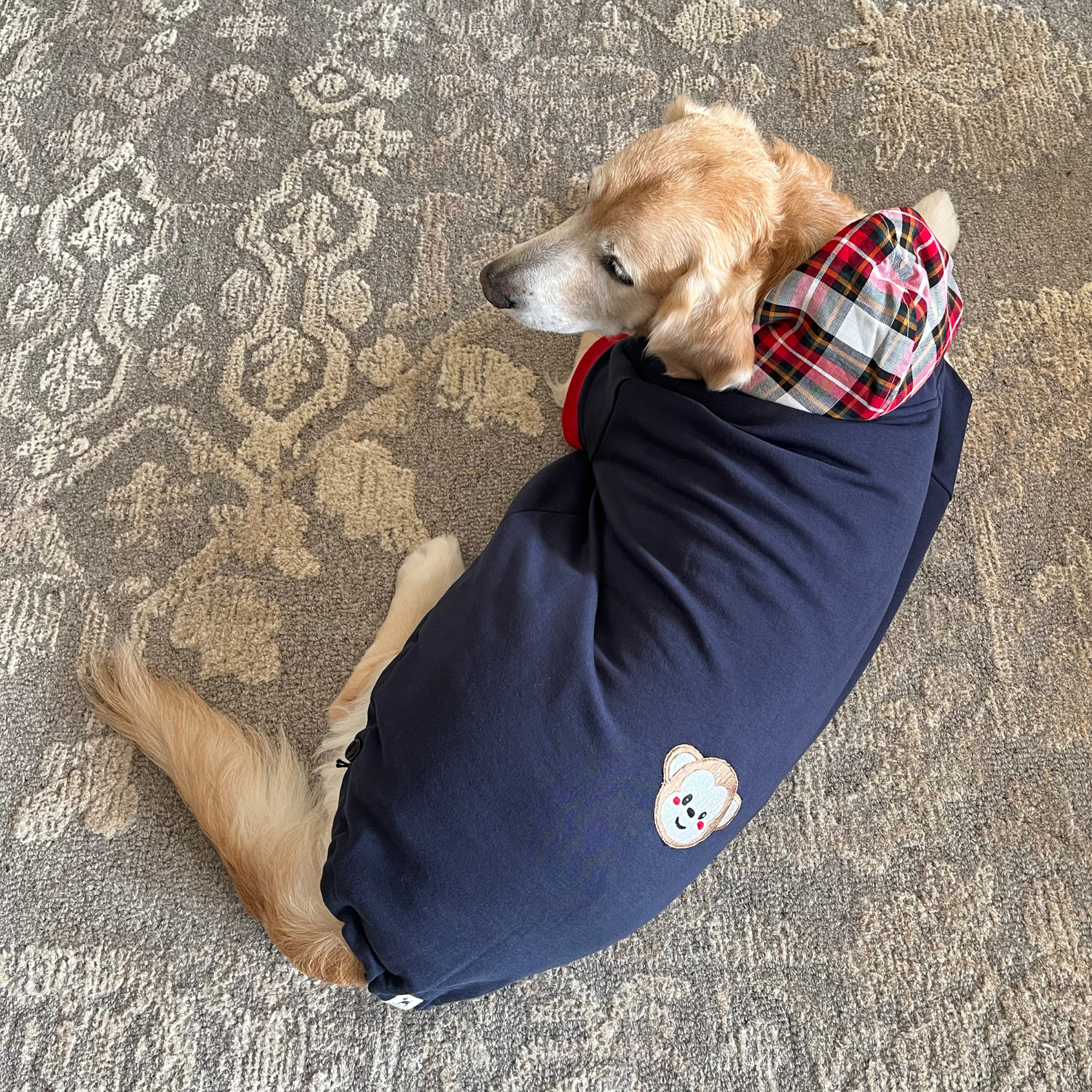 Winter Dog Clothes online India Red Dog Sweatshirt with cotton fleece