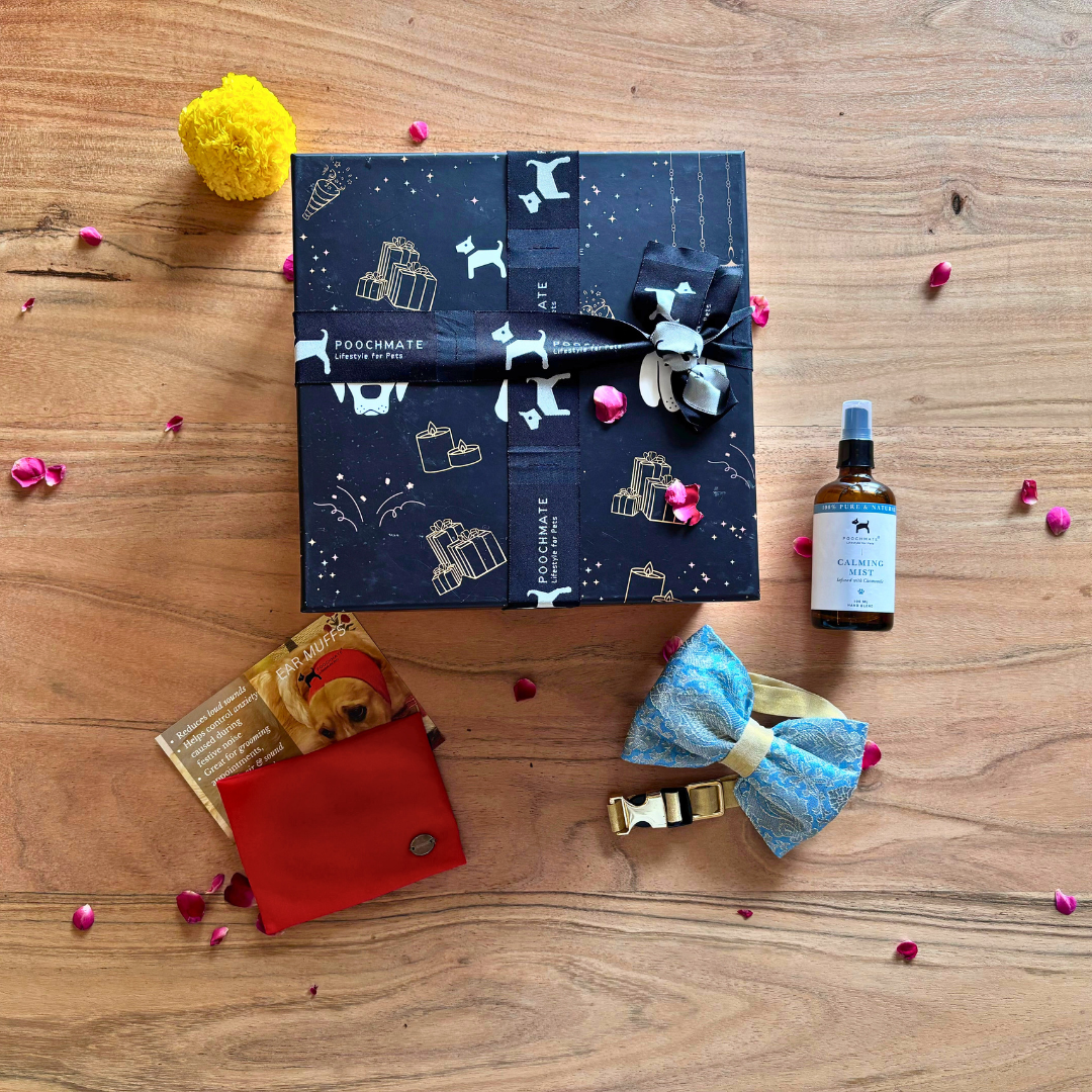 PoochMate Diwali Dog Gift Box Mini - Main Image