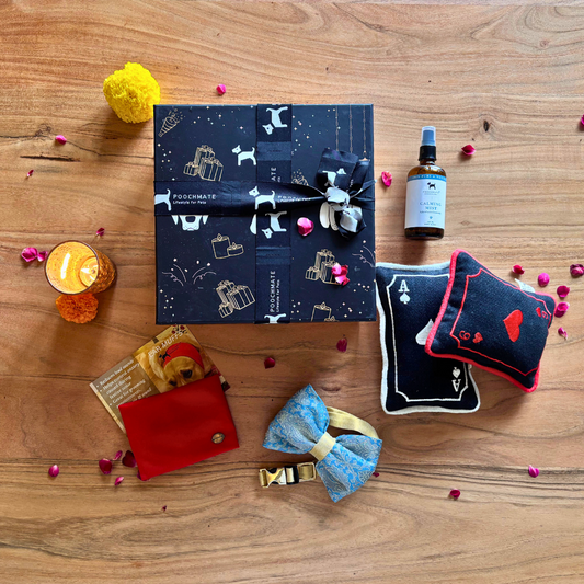 Festive Gift Boxes for Pets | Diwali Gift Boxes for Dogs