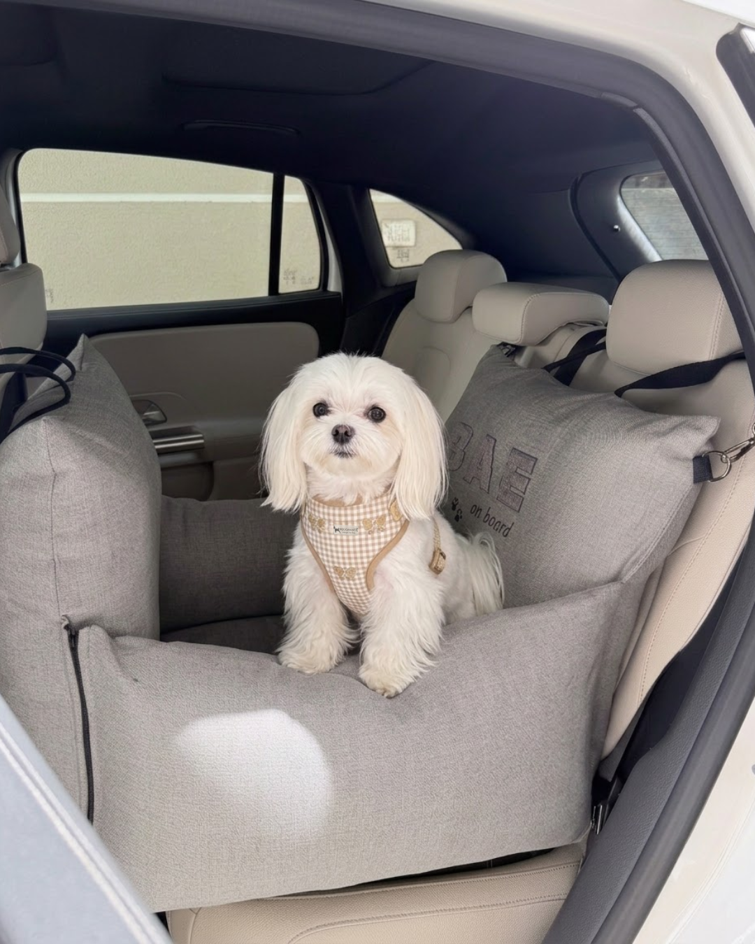 PoochMate Travel Bed for Small Dogs : Grey BAE on Board