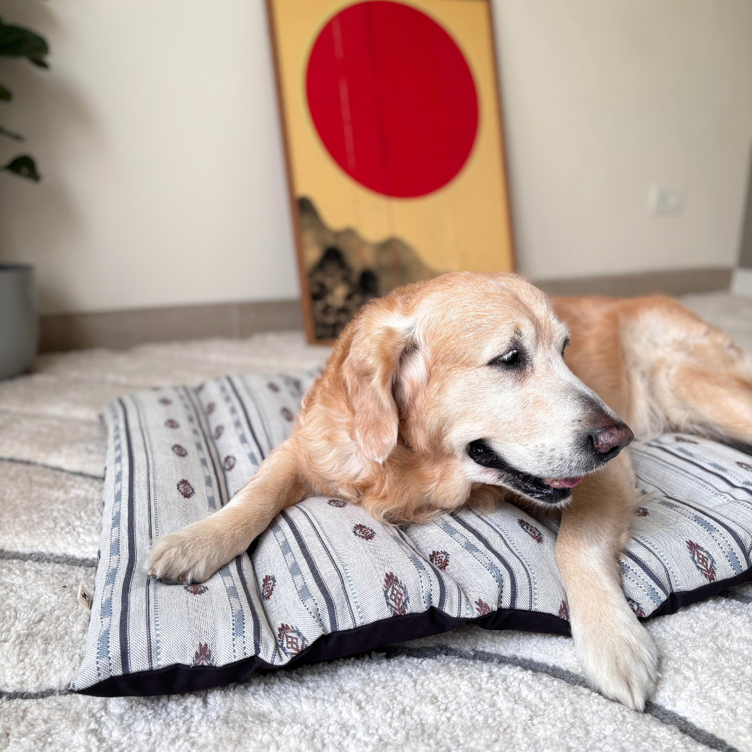 Beds for golden retriever | Crate Mats for Dogs