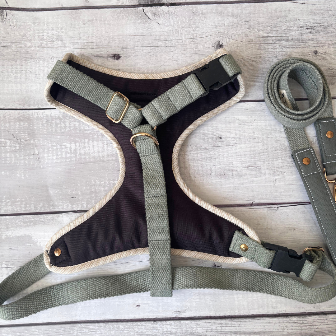 PoochMate Dog Harness | Dog Harness online India