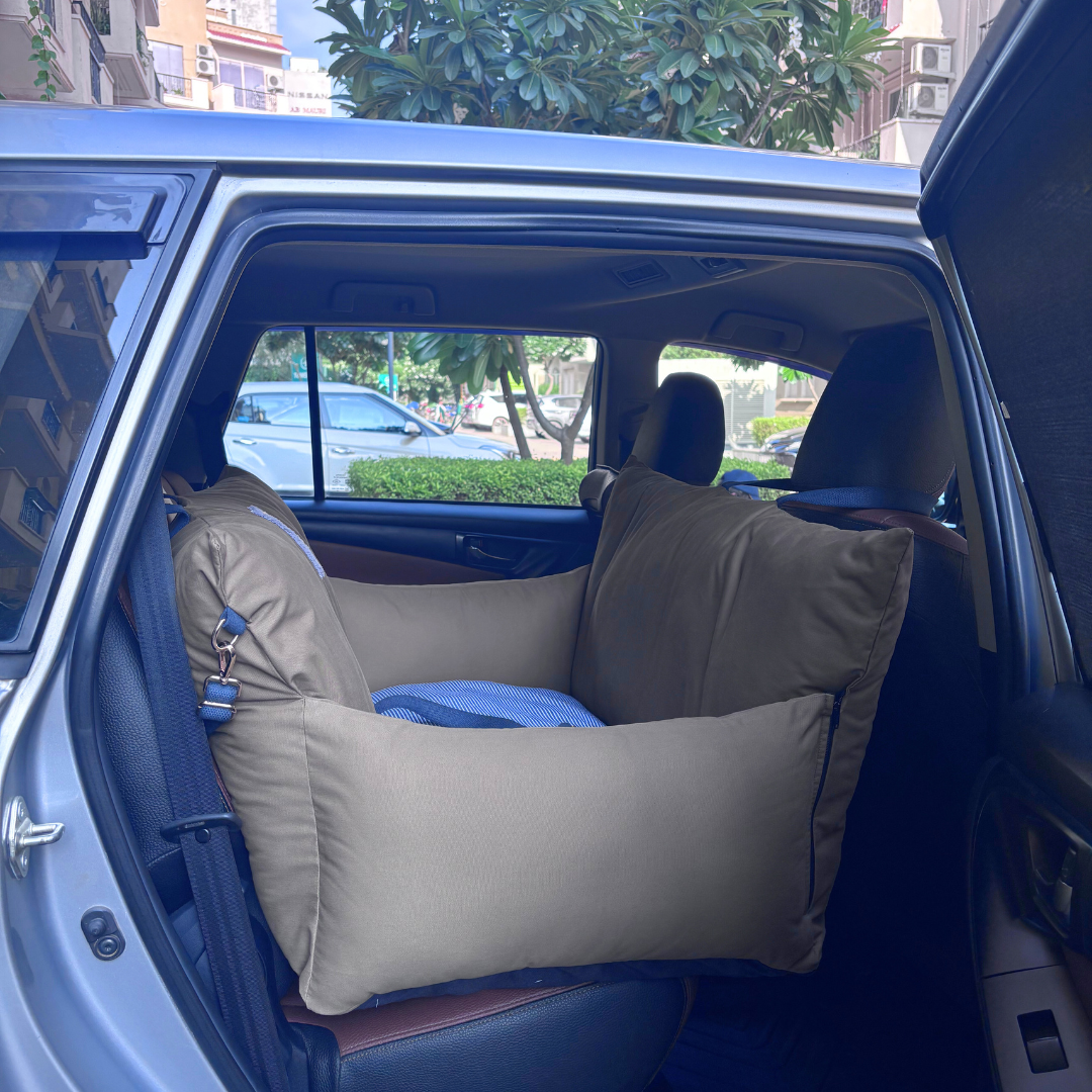 PoochMate Travel Bed for Small Dogs : Khaki & Blue Stripes