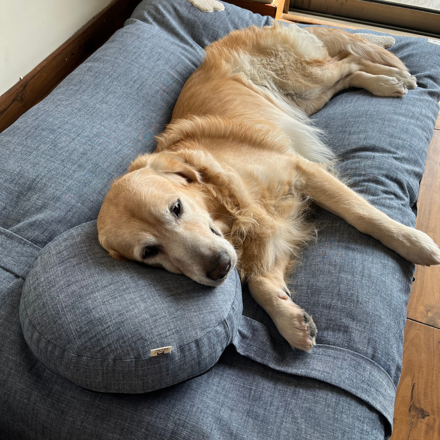 XL Dog Beds | Dog Bed with washable covers