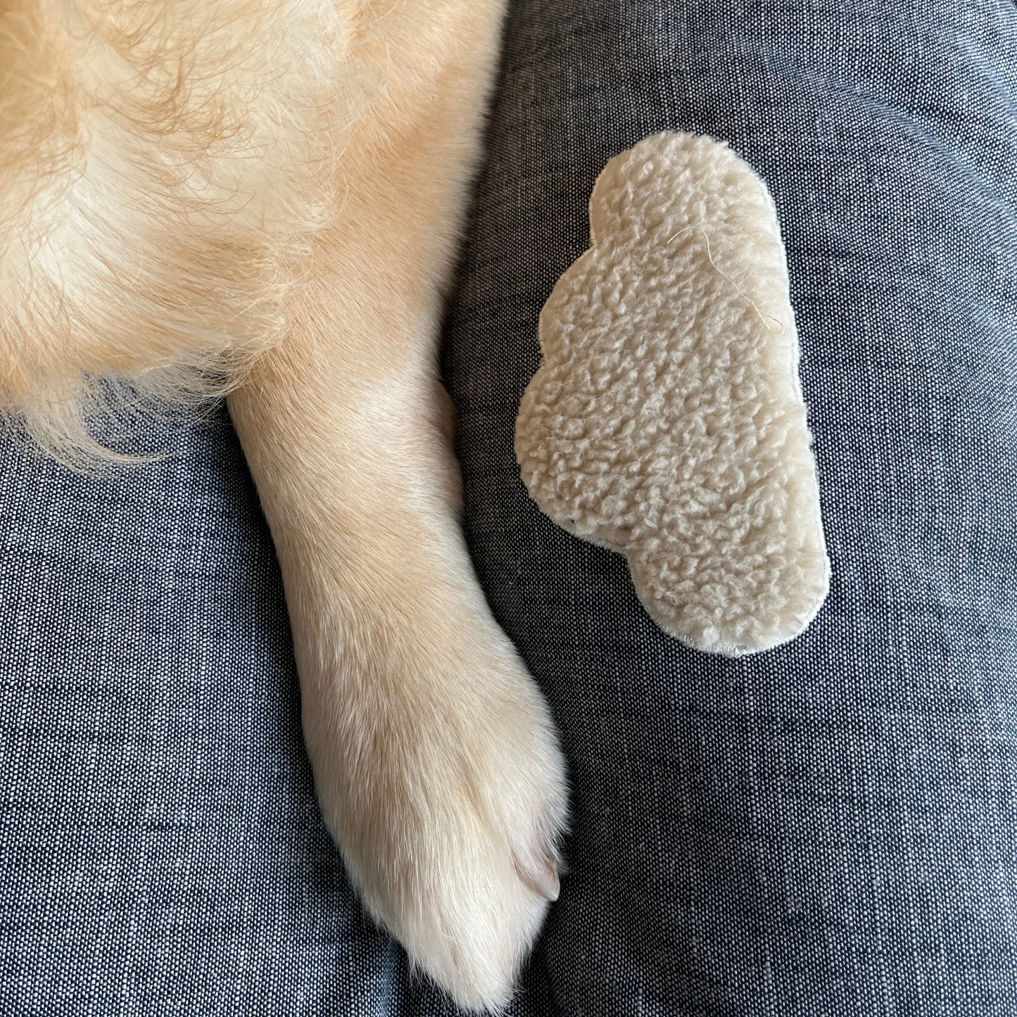 Cotton Dog Beds India | Washable beds for dogs