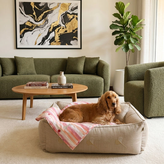 PoochMate Beds | Dog bed and blanket set | Washable cotton dog beds online India | Large dog bed and blanket sets
