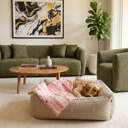 PoochMate Beds | Dog bed and blanket set | Washable cotton dog beds online India | Large dog bed and blanket sets