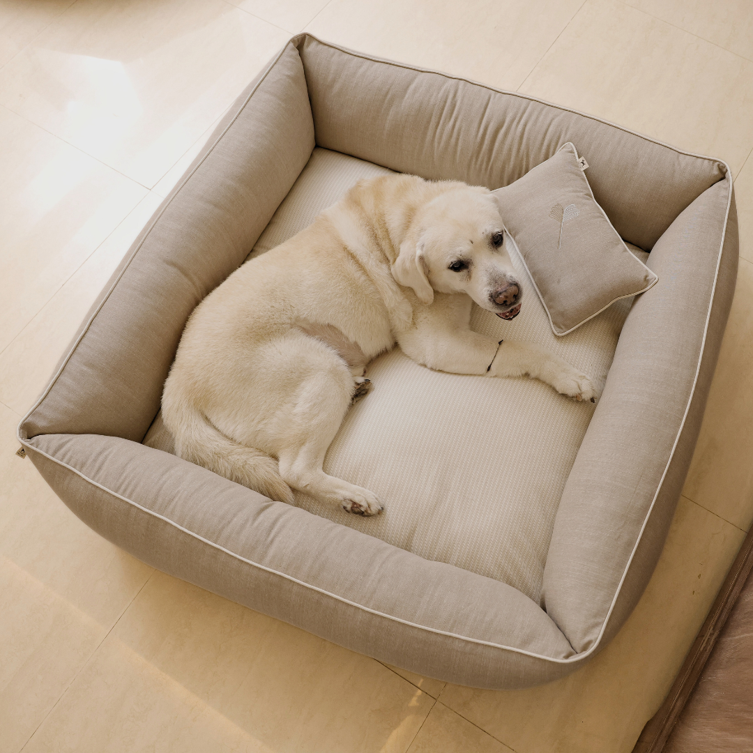 Beige dog bed clearance