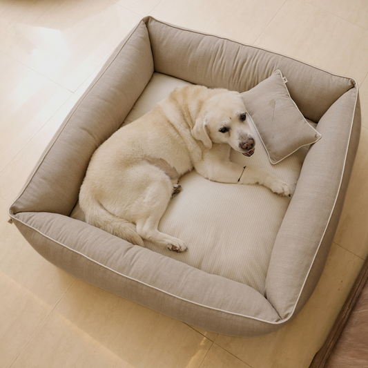 Light colour dog beds | Dog bed with name
