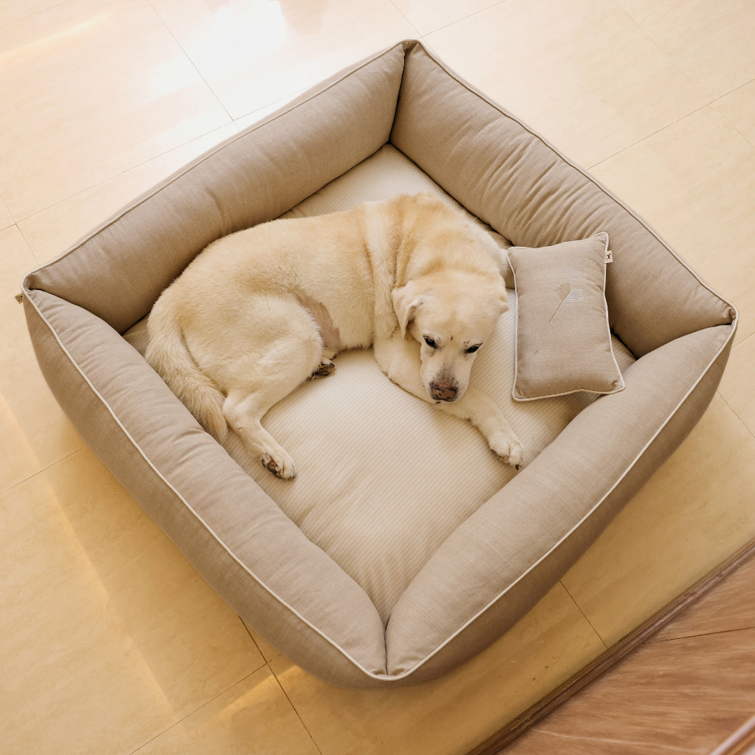 Linen Dog Bed | Large dog bed with removable cover