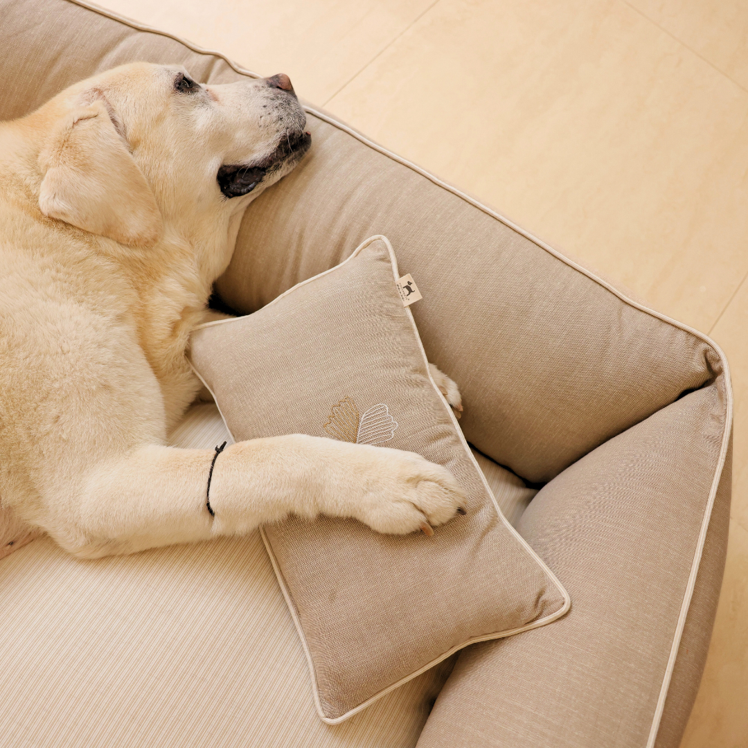 best dog beds in India | Luxury dog beds online India