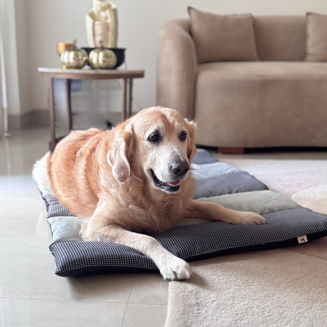 Dog Mats online India | Cotton pet Mats online India