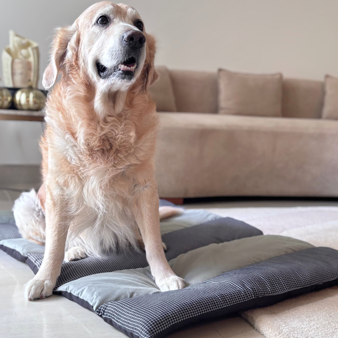 PoochMate Dog Mats | PoochMate Beds | Dog Mats online India