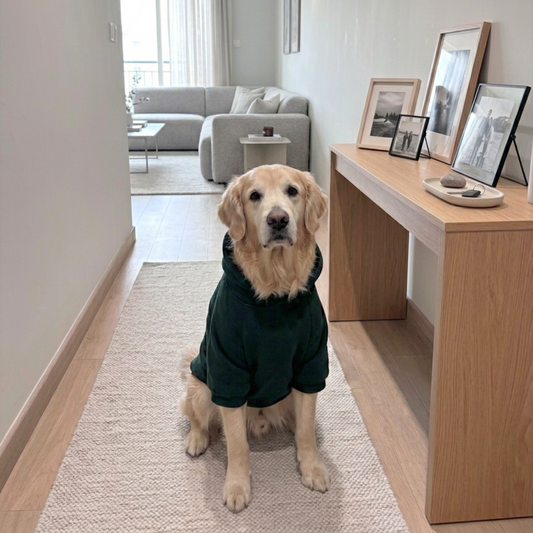 Dog Sweatshirts | Dog Hoodies | Large dog winter clothes