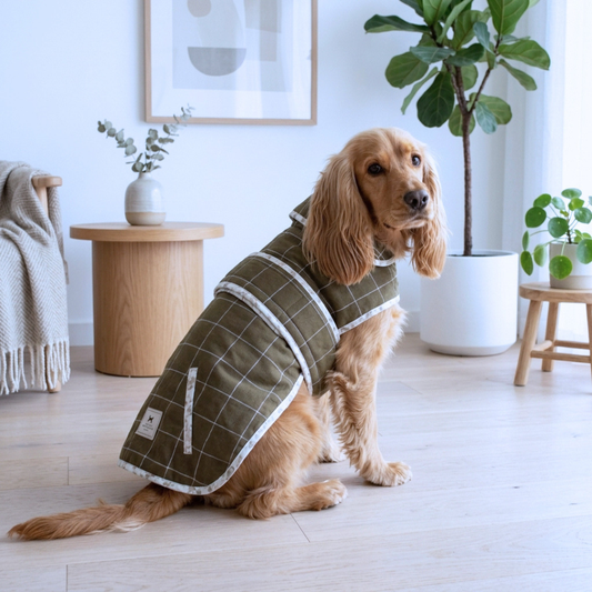 Winter Dog clothes online India | Dog Jackets India| Best winter coats for dog online India | Dog winter coat | Quilted dog jacket | PoochMate