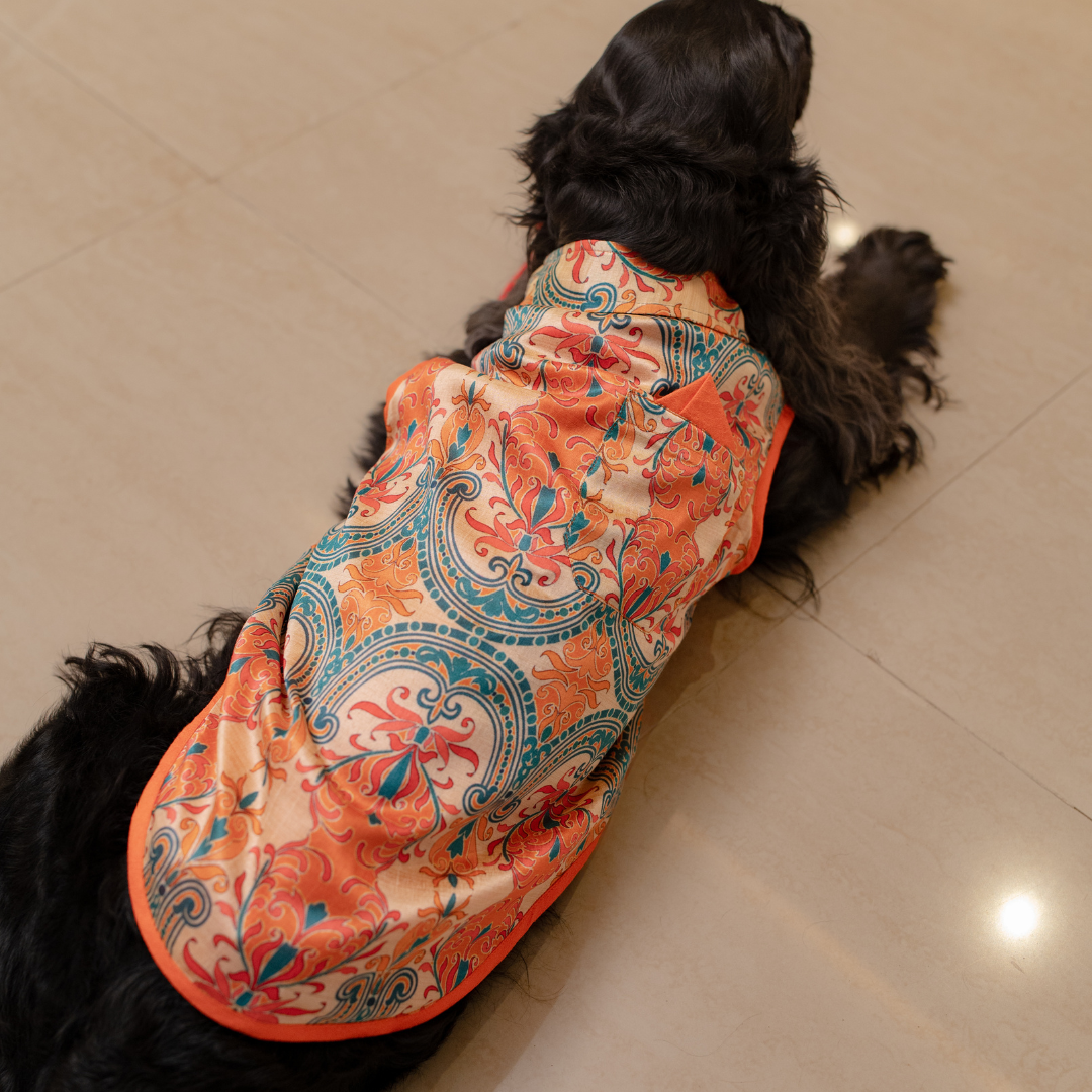 Diwali Dresses for Dogs | Dog Diwali Clothes online