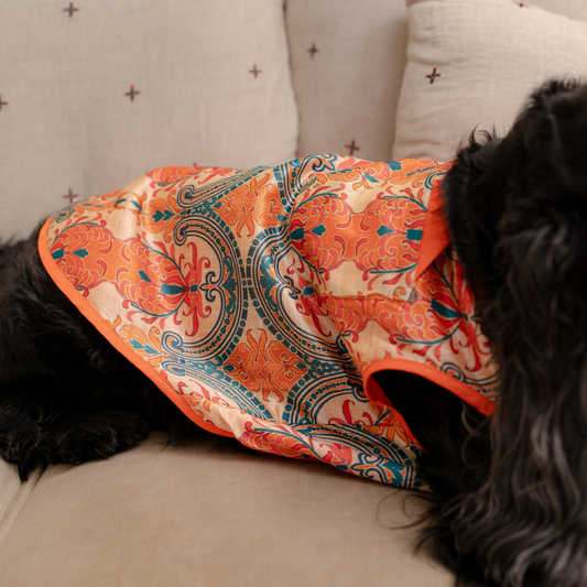 Diwali Dresses for Dogs | Dog Diwali Clothes online