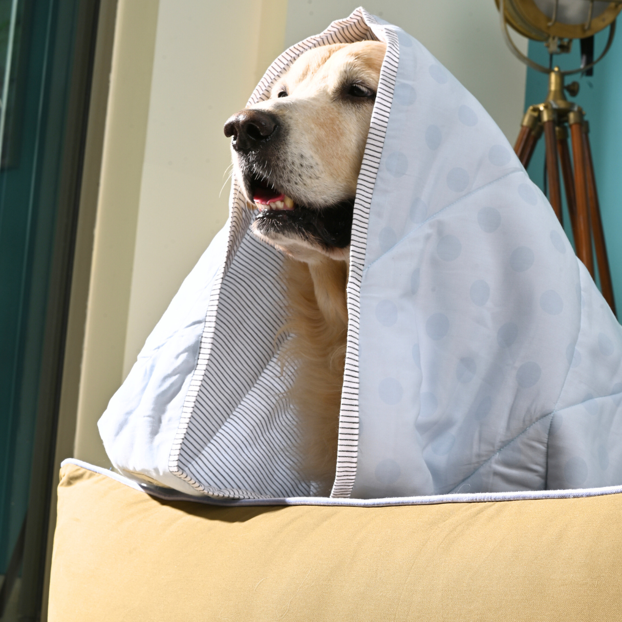 Blankets for large dogs | Cotton washable dog blankets