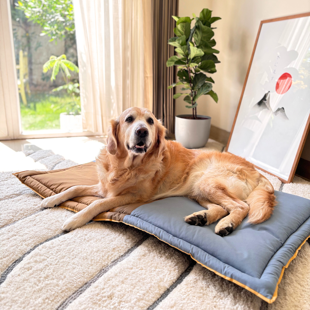 Cotton Dog Mats | Dog Mats online India