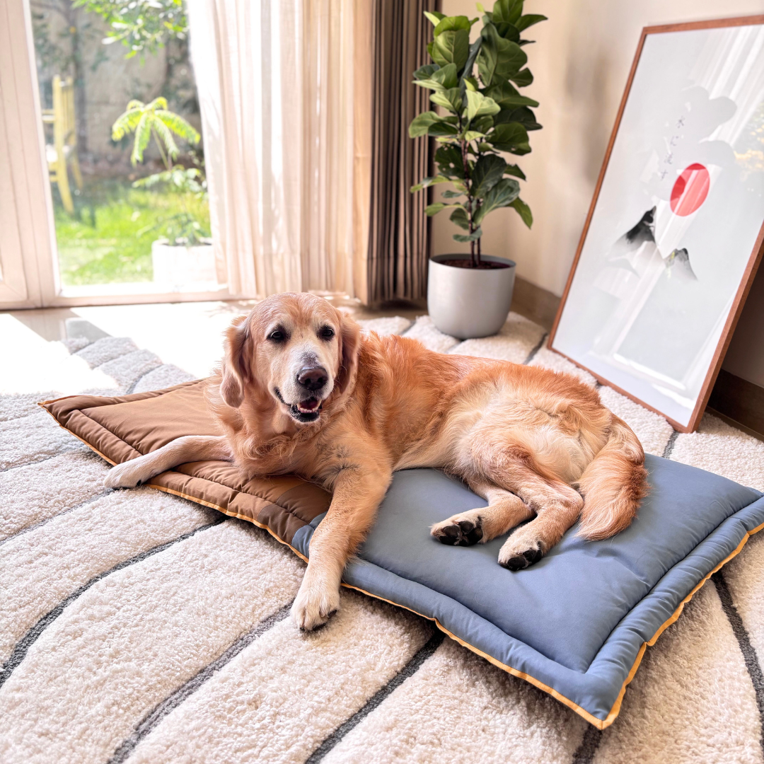 PoochMate Blue & Khaki Montage Dog Mat